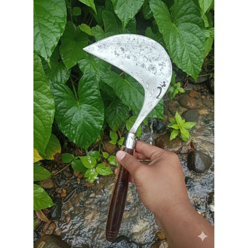 Arit Baja Selap/Isen Asli ( CAP 2 ALIAS SI LENYAP) Kualitas Premium - Sabit Rumput Panen Padi SIAP P