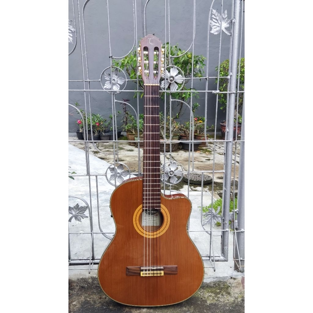 Gitar Tanglewood TW TLC E