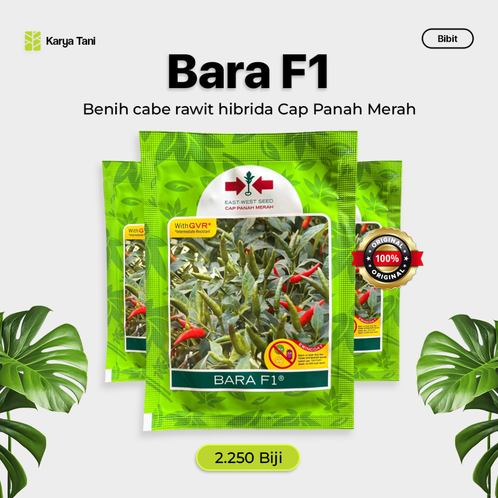 Benih Cabe Bara F1 2250 biji Cap Panah Merah Cabe Rawit Bara F1