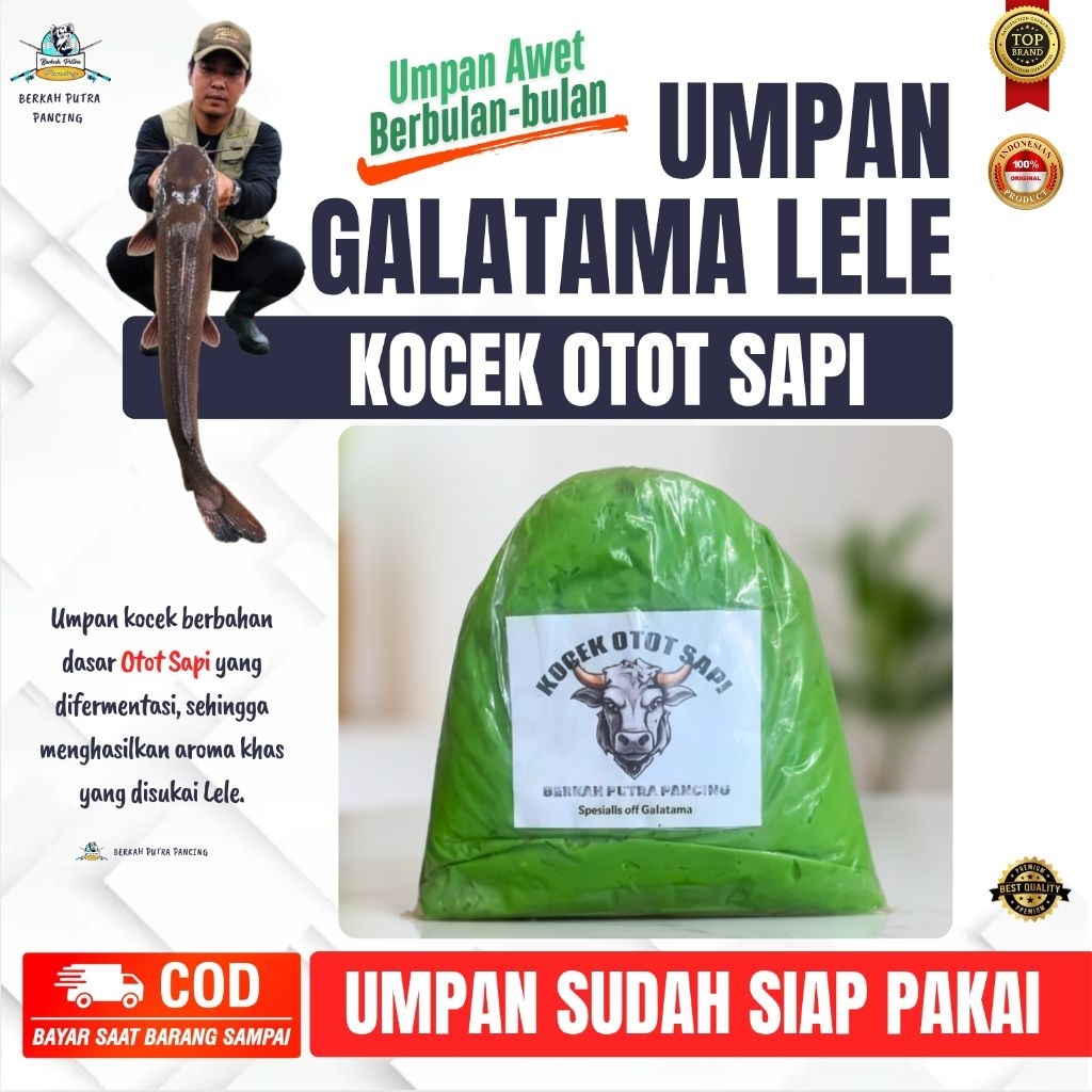 Umpan galatama lele kocek otot sapi gacor dan siap pakai
