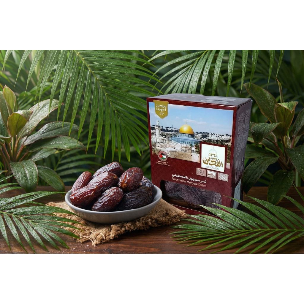 Kurma Medjool Palestina