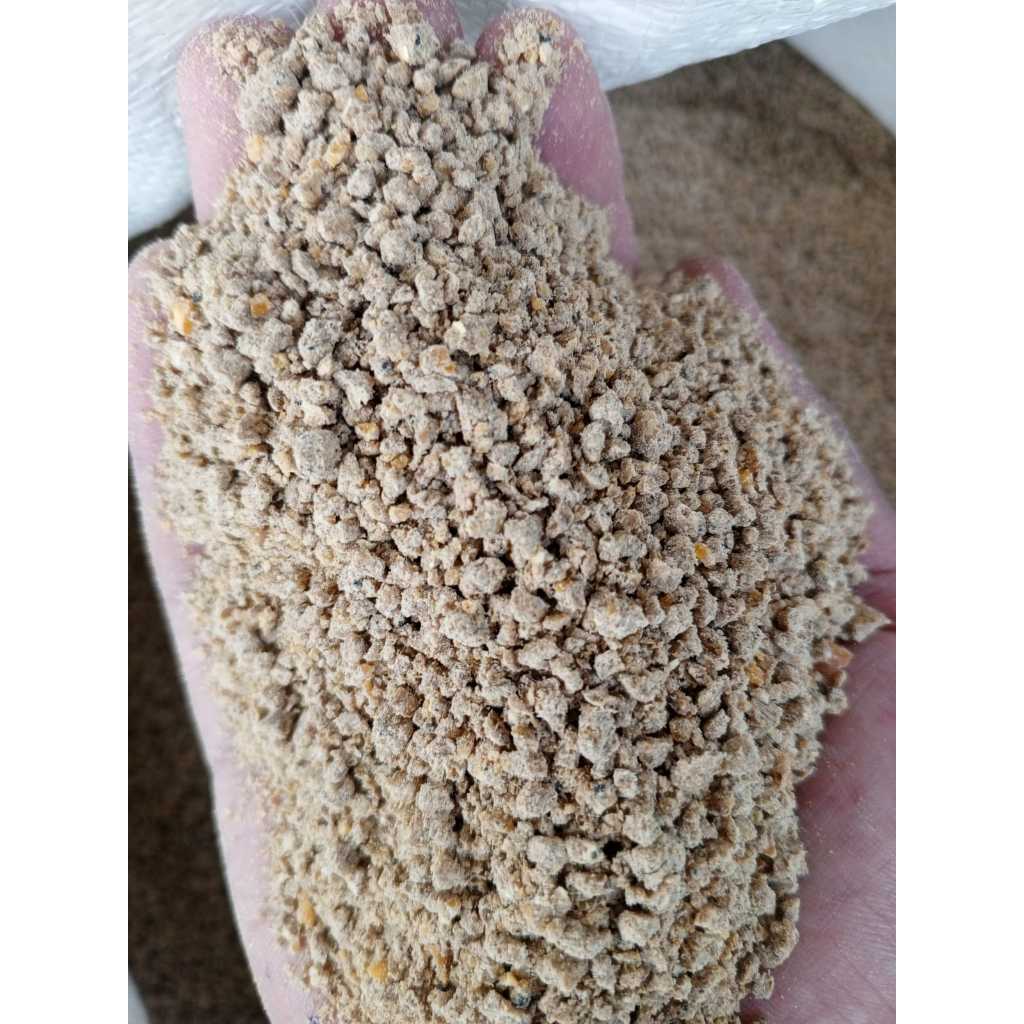 Pur Konsentrat  Ayam Kampung Pedaging Joper, KUB