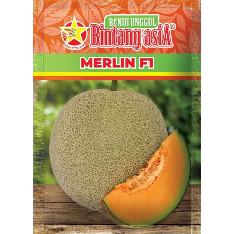 Bibit Benih Melon MERLIN F1 Hibrida