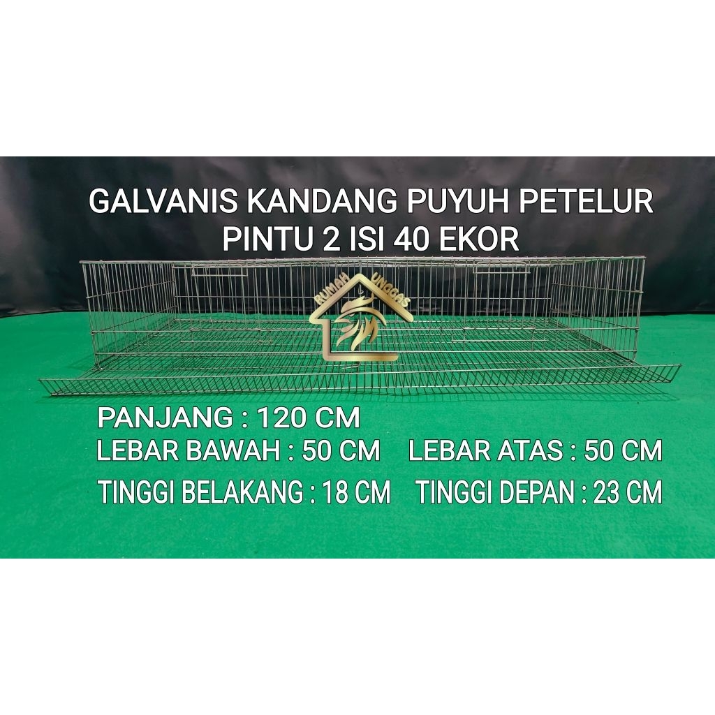 KANDANG PUYUH PETELUR PINTU 2 ISI 40 EKOR GALVANIS