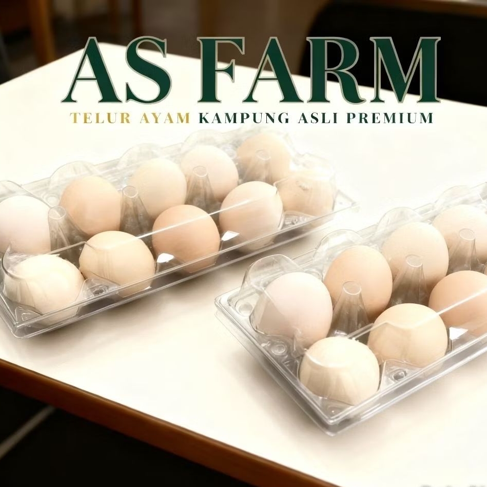 (20 BUTIR) TELUR AYAM KAMPUNG ASLI BERKUALITAS (GROSIR)