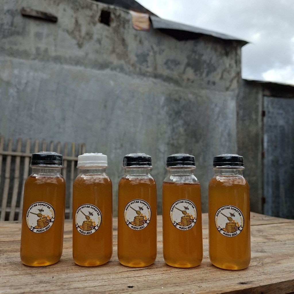 100 ml Madu Hutan Sumatra Murni Asli Kemasan Botol Madu Mentah  Raw Honey