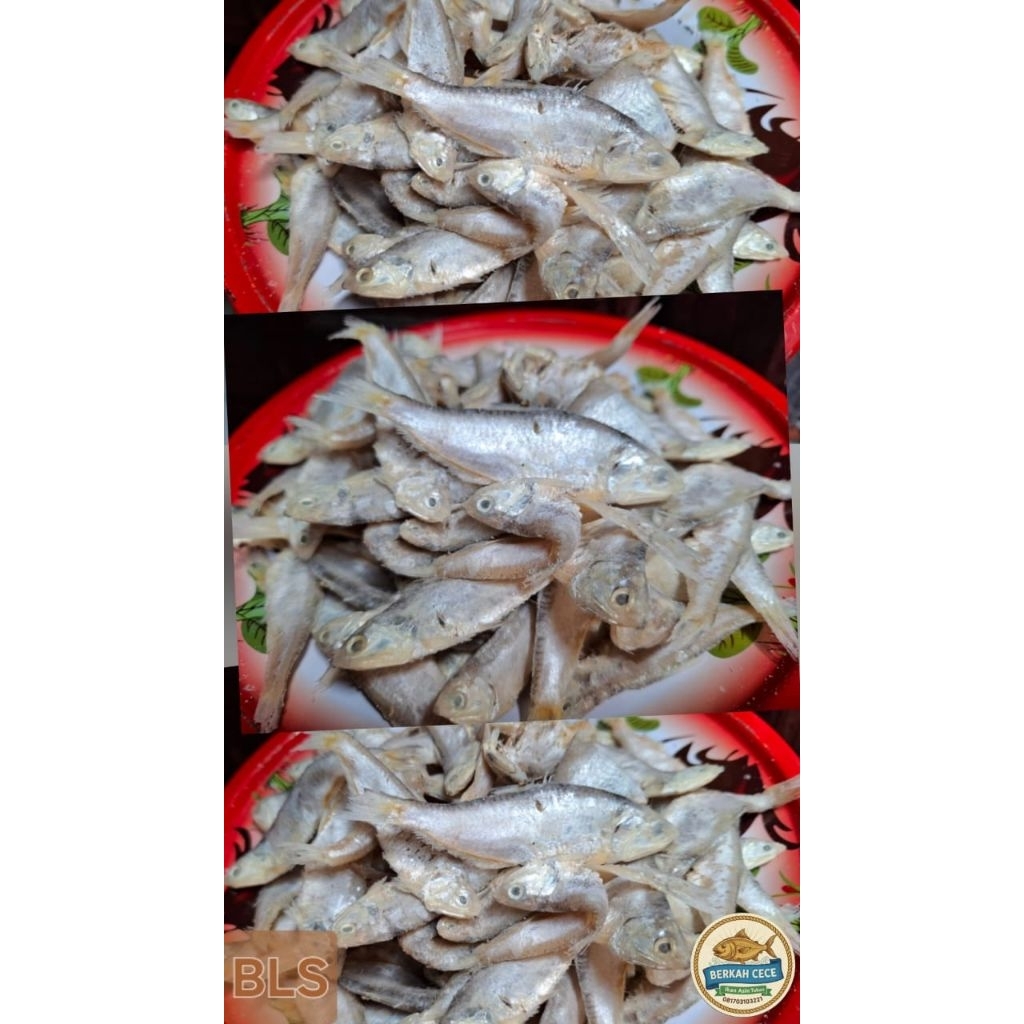 BERKAH CECE - Ikan Asin Bilis, Ikan Asin Bilis Kering Tuban