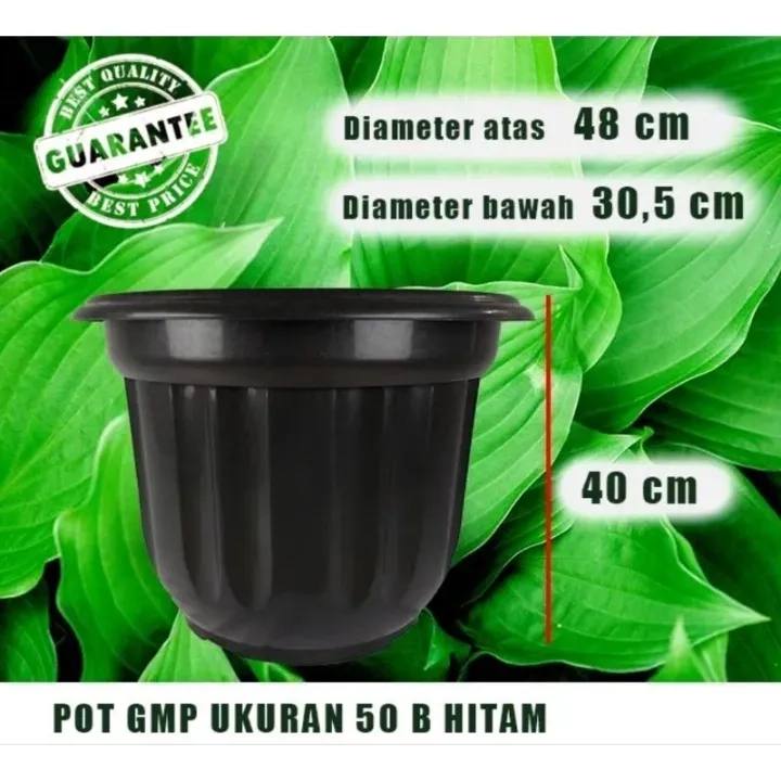 Pot 50 Belimbing Hitam / Pot Besar 50 Motif Kembang GMP
