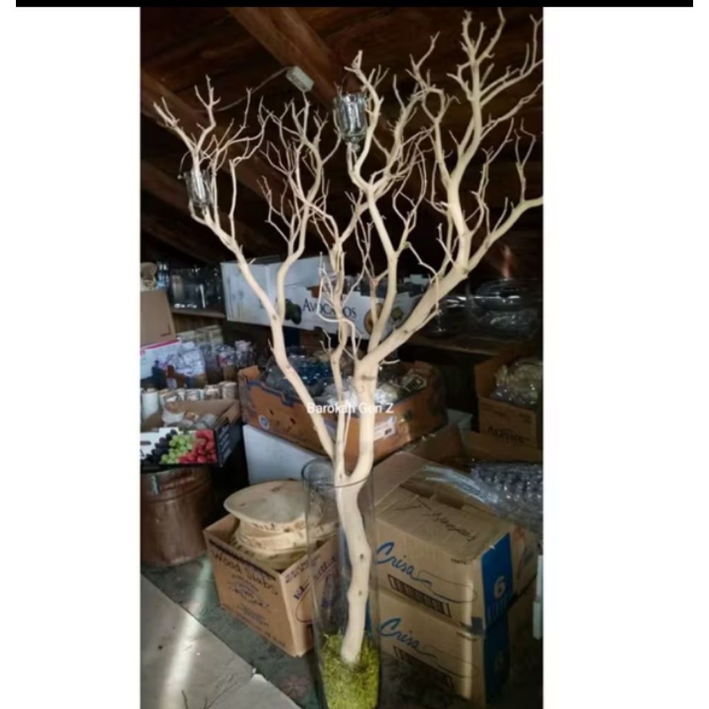 tangkringan ranting kayu untuk hiasan dekorasii panjang -+150cm