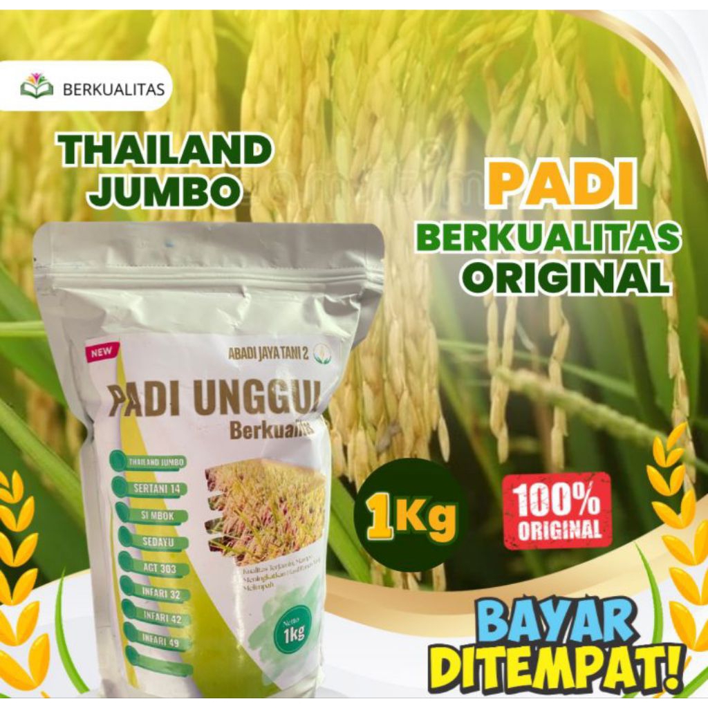 benih padi THAILAND JUMBO benih padi unggul dan berkualitas 1kg