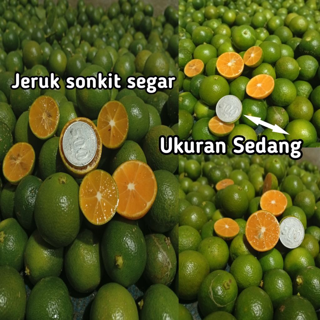 1Kg / Jeruk Sonkit Kiamboy / Jeruk kunci lemon cui