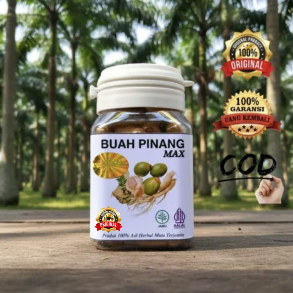 pinang muda kapsul 100% original alami bpom