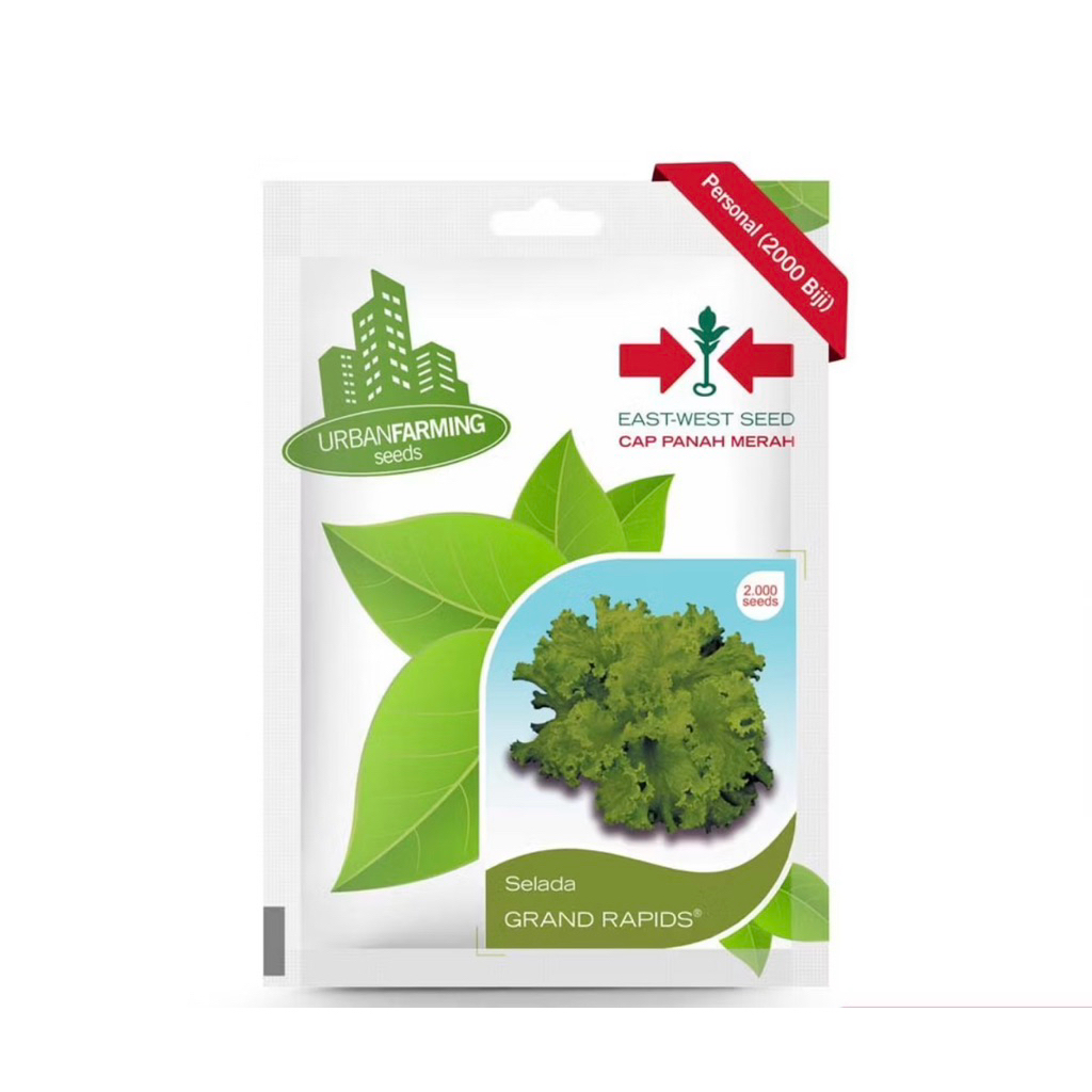 BENIH SELADA CAP PANAH MERAH