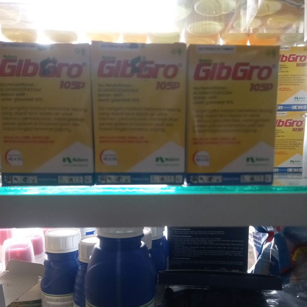 gibgro10sp