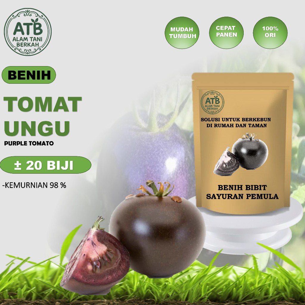 Bibit Tanaman Sayuran Tomat Ceri Ungu Lonjong Berkualitas Unggul Isi 20 Benih