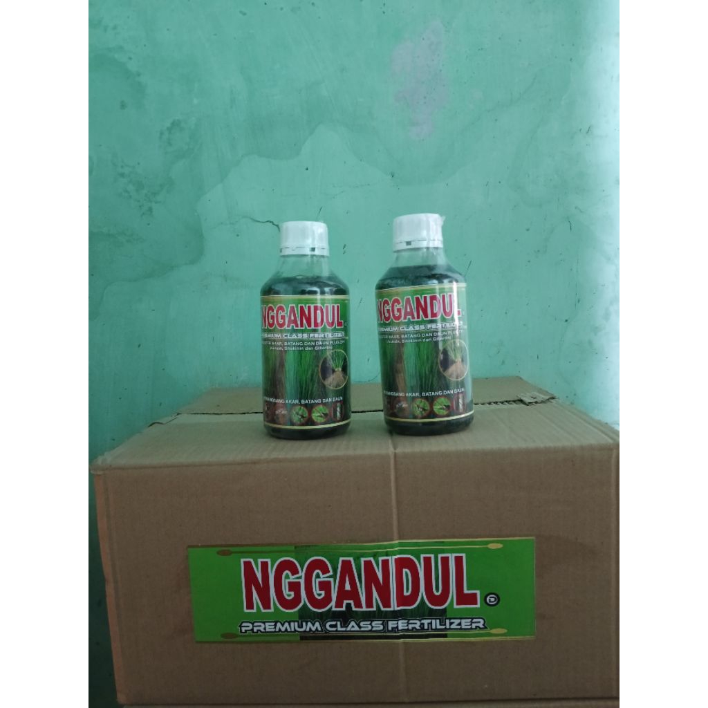 [PAKET GROSIR] 1 Box Pupuk Cair Booster Anakan (akar) / Daun lengkap Perekat Nggandul D Isi 20 Botol