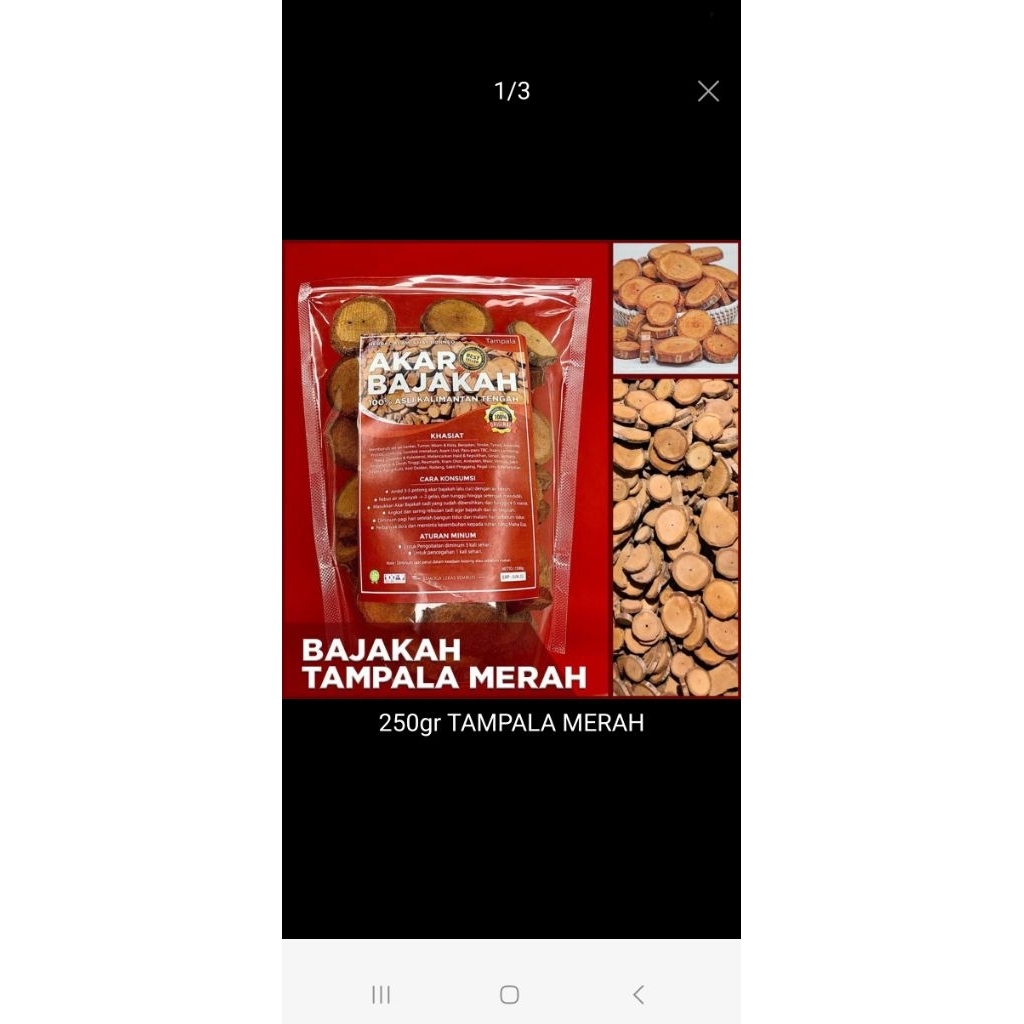 kayu bajakah kalimantan