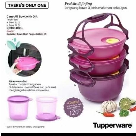 carry all bowl tupperware