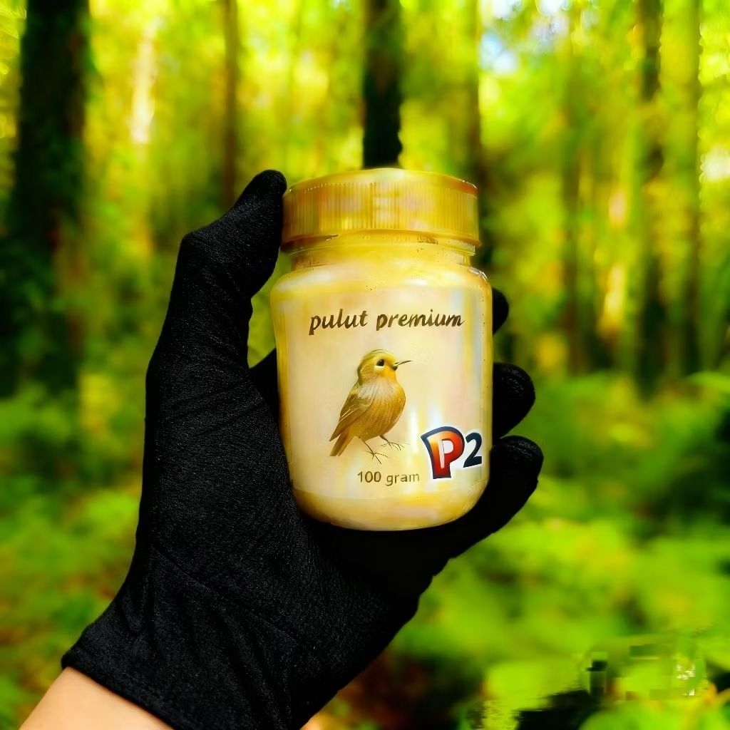 pulut burung, pulut burung premium