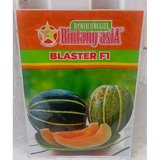 Benih Blewah Blaster 15 gr