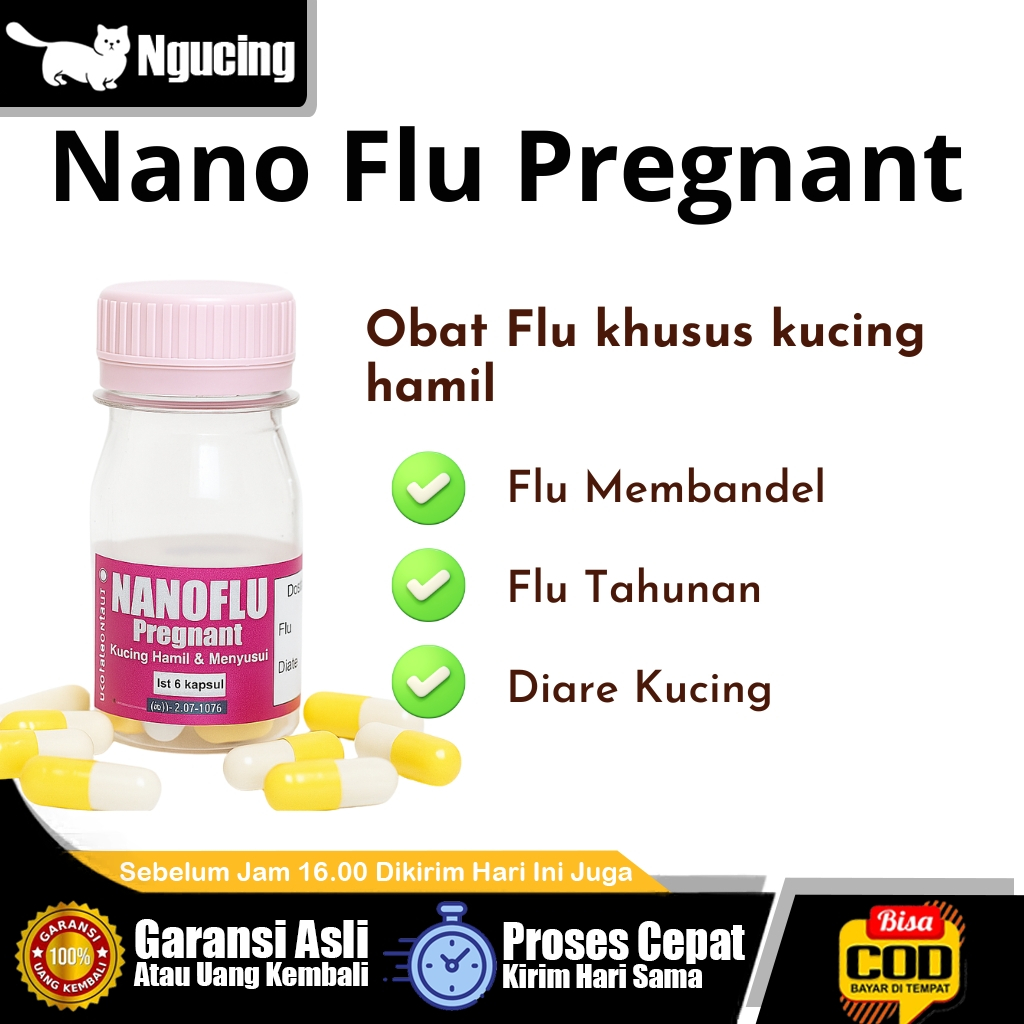 Nano flu Pregnant obat flu diare untuk kucing hamil dan menyusui