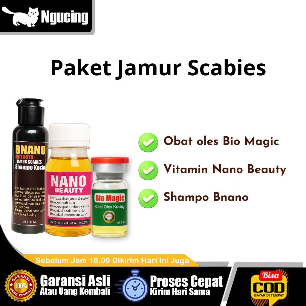 Obat Jamur Scabies Kucing Lengkap dari oles oral hingga shampo pembersih kucing