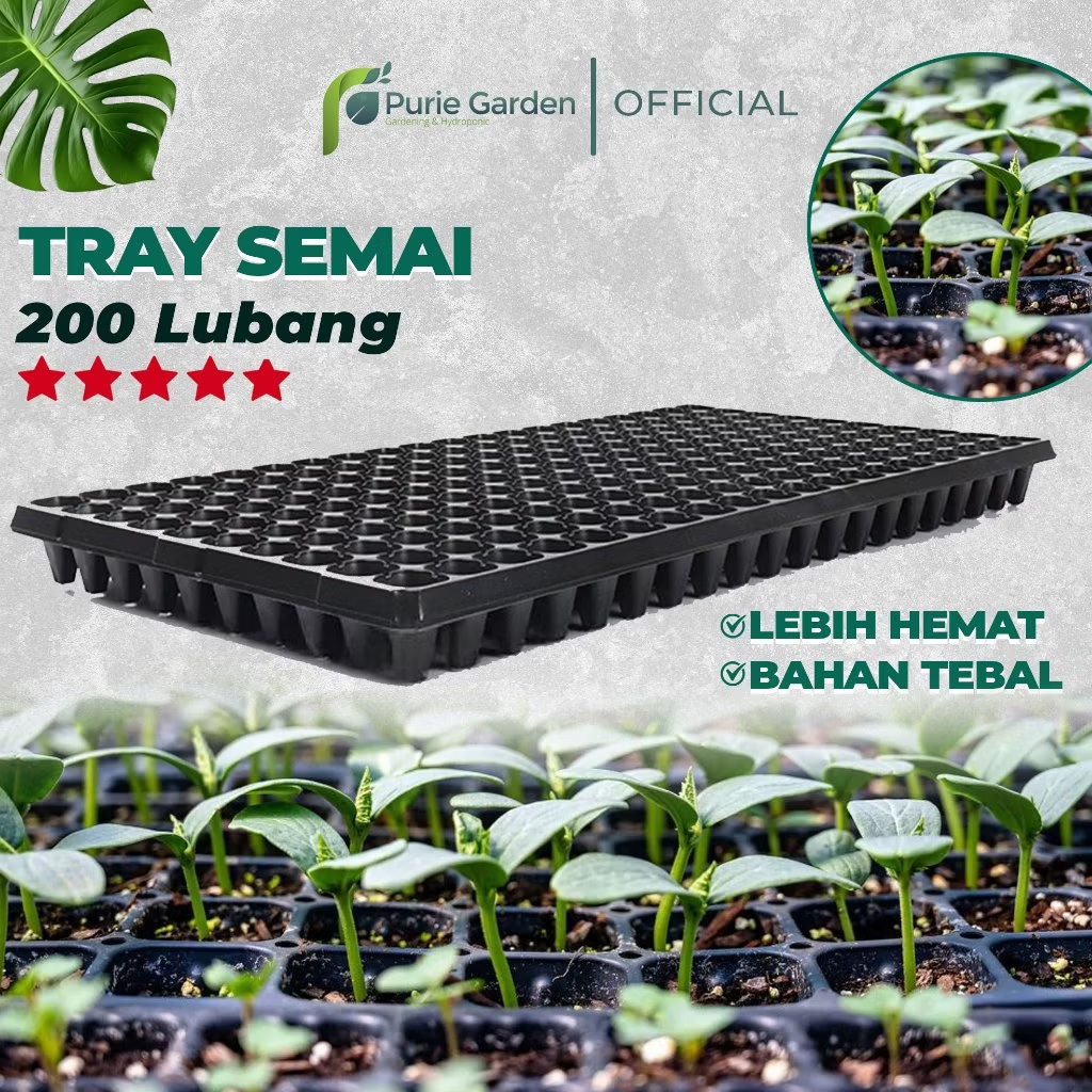 Tray Semai Bibit Tanaman 200 Lubang – Potong & Utuh, Media Persemaian Praktis
