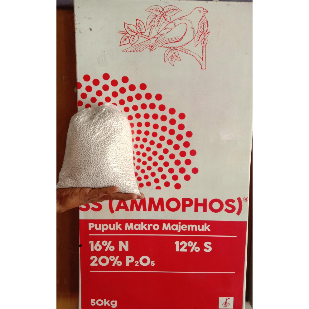 Pupuk Meroke SS Ammophos 2 kg