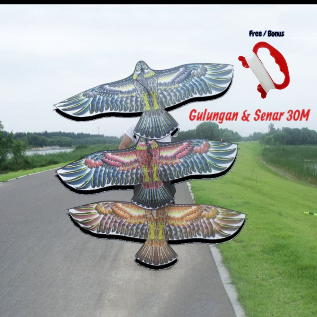 Layangan Elang Jumbo Ready ukuran 1.2M - 1.7M Free Bonus Gulungan dan Senar 30M untuk Aktivitas Luar