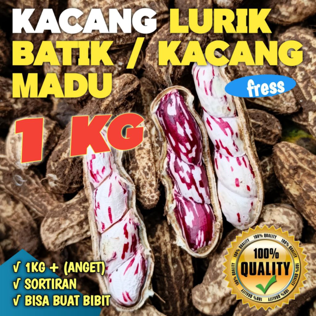 KACANG MADU KACANG LURIK KACANG TANAH | 1KG