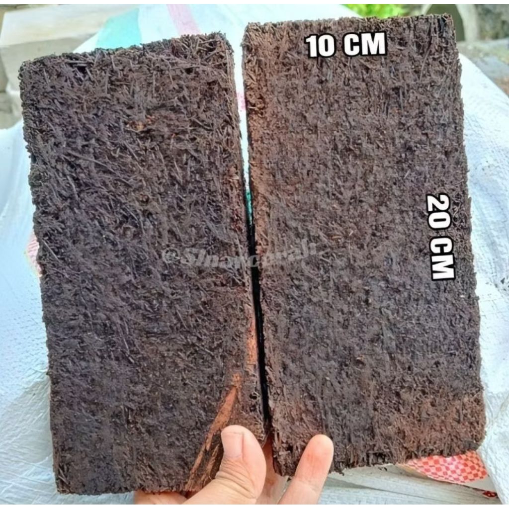 Papan Pakis Media Tanam Anggrek/papan pakis media tempel/papan akar pakis media tempel anggrek