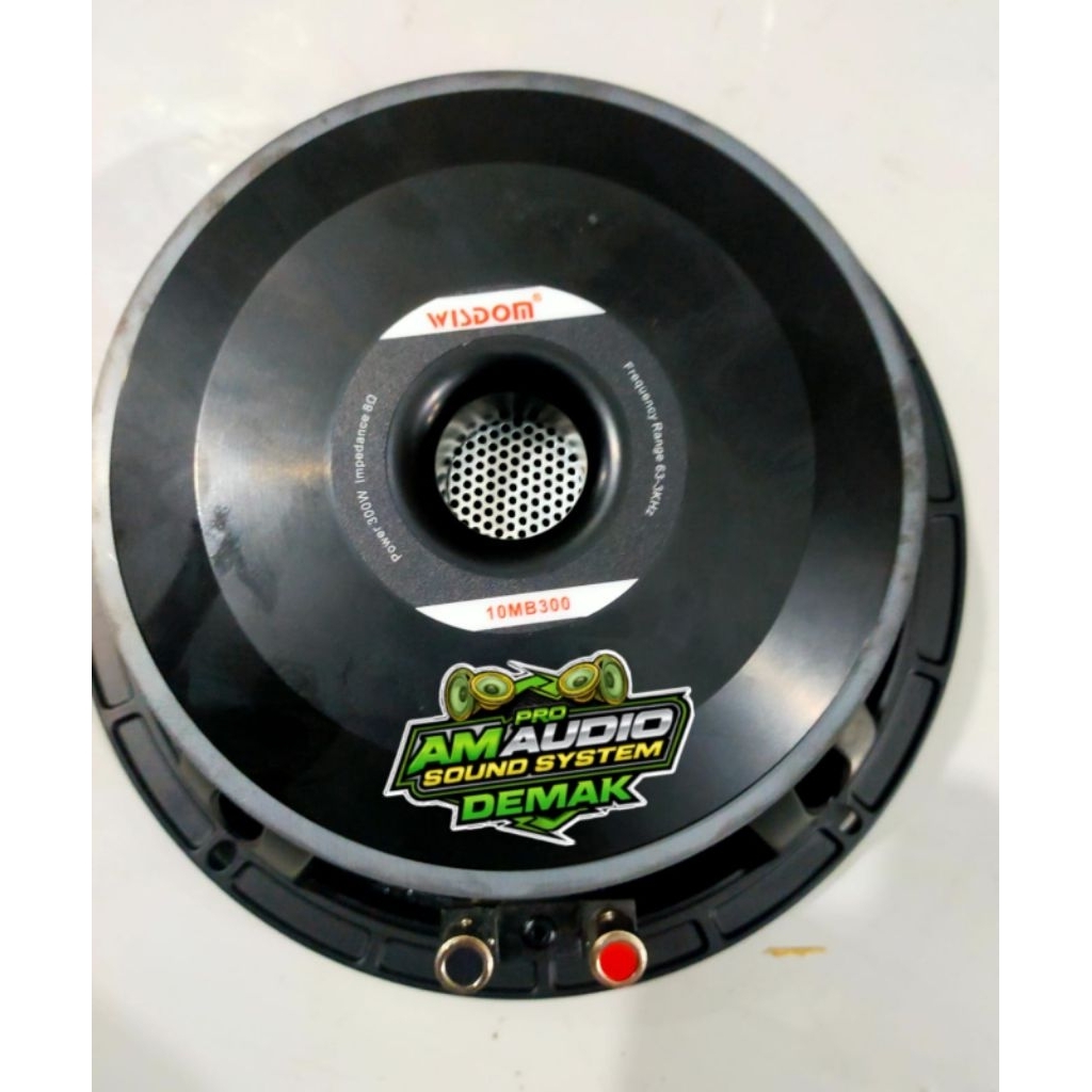 Speaker 10 inch WISDOM 10 mb300