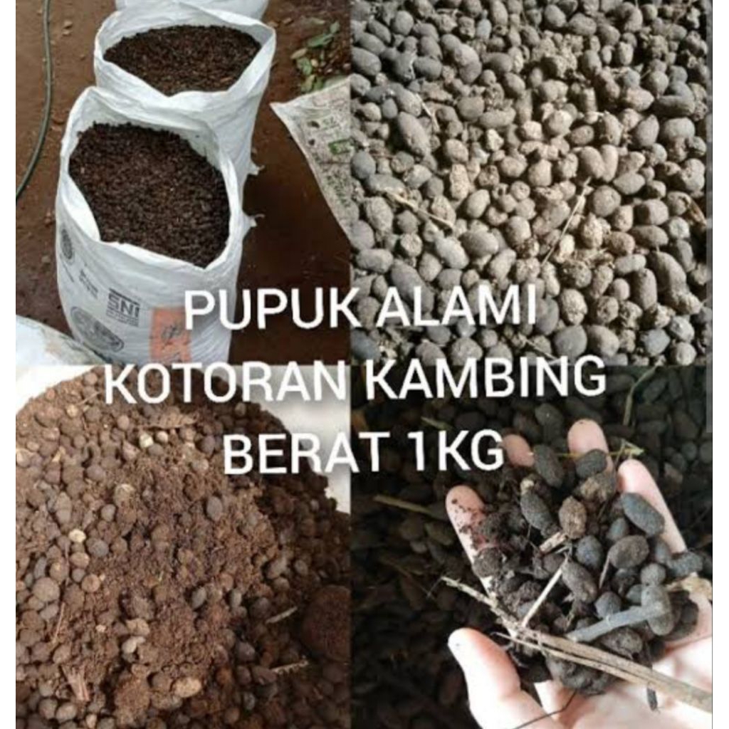 kompos organik taik kambing pupuk kompos