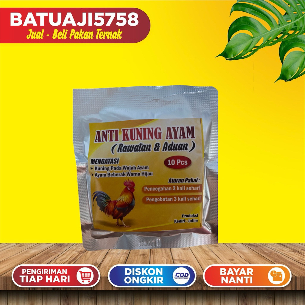Anti Kuning Ayam/ Kuning Plus ayam