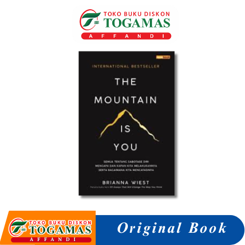 THE MOUNTAIN IS YOU - BRIANNA WIEST
