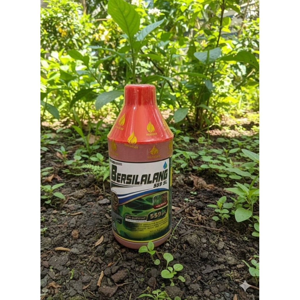 BERSILALANG 559SL 1L FREE GRANDALLY