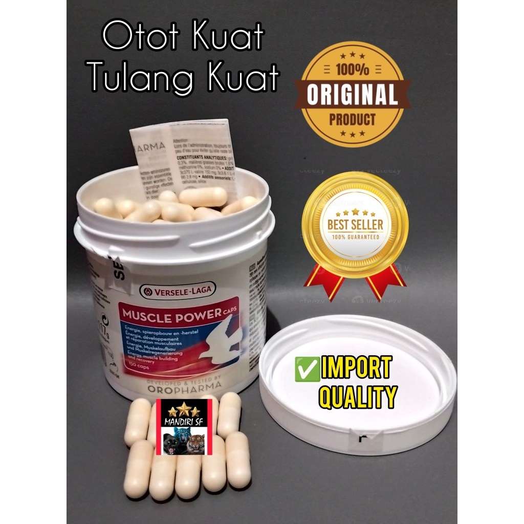 Muscle Power Versele Laga Original Harga Per butir, pembentukan otot & tulang