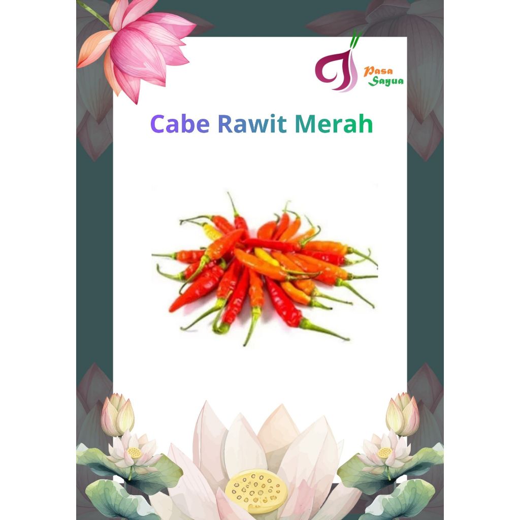 Cabe Setan Cabai Rawit Merah Segar 100gr Pasa Sayua Padang