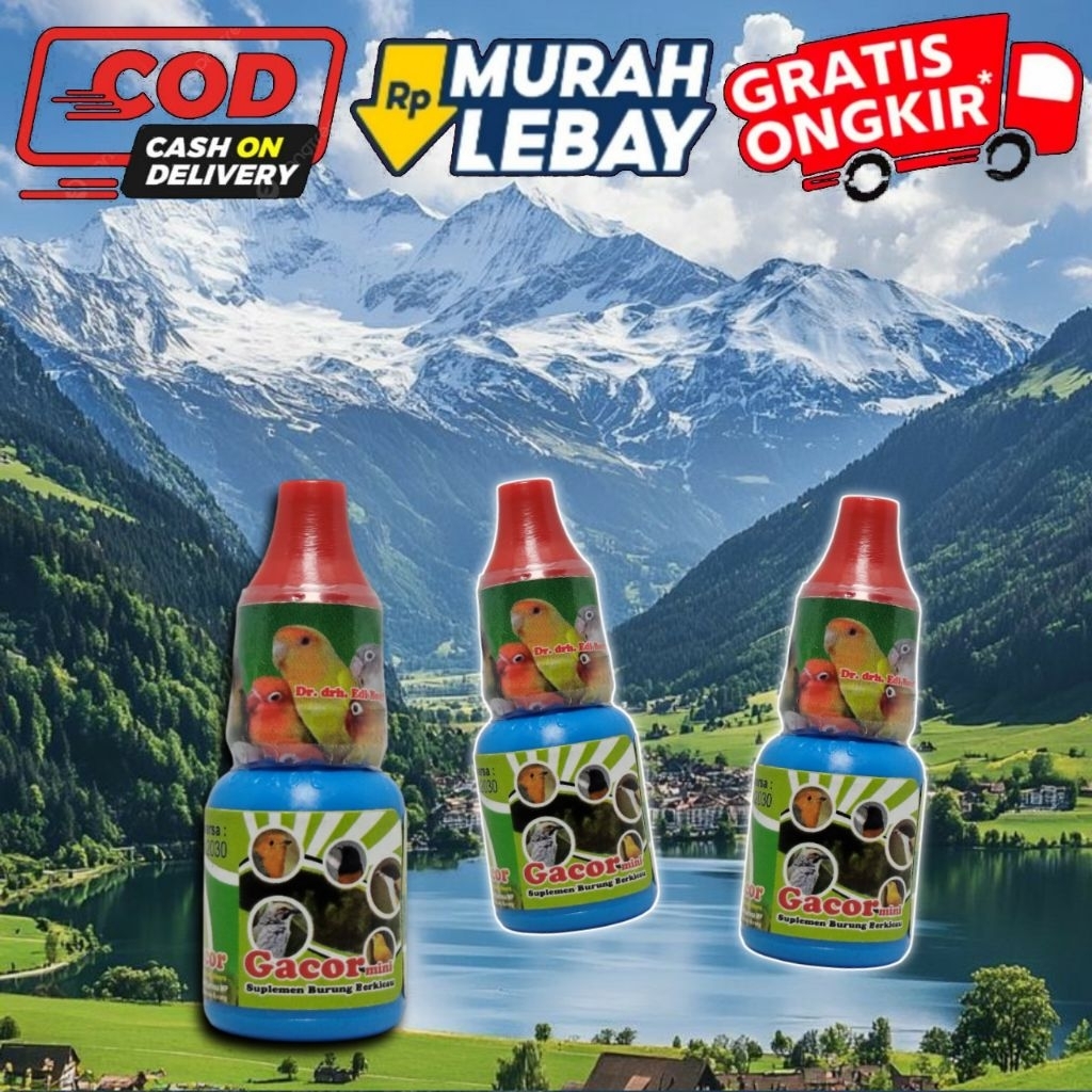 GACOR MINI DR. EDHI VITAMIN UNTUK MENINGKATKAN KUALITAS KICAU