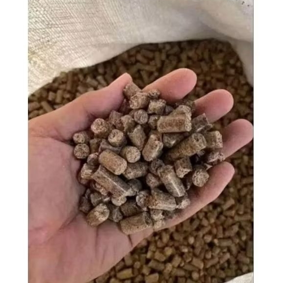 PROMO Pelet Wilmar Racing -pakan kering penggemukan sapi dan kambing kemasan 50kg