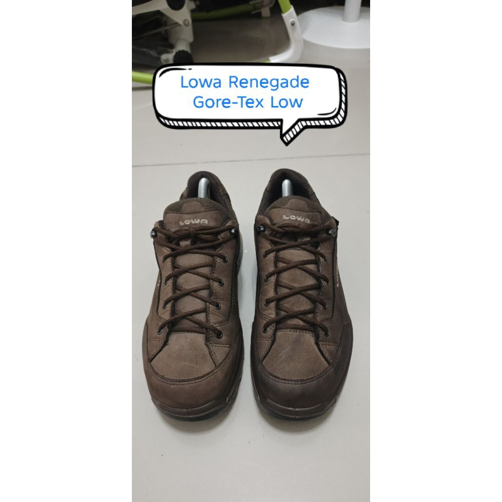 Sepatu LOWA Renegade GTX Low