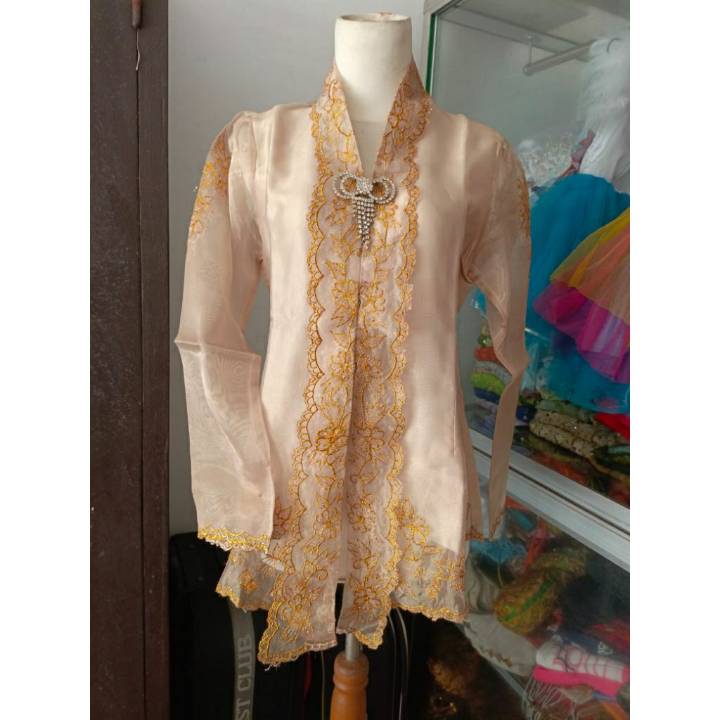 Kebaya PL | Kebaya Remaja-Dewasa | Kebaya Organza | Kebaya Model Kartini