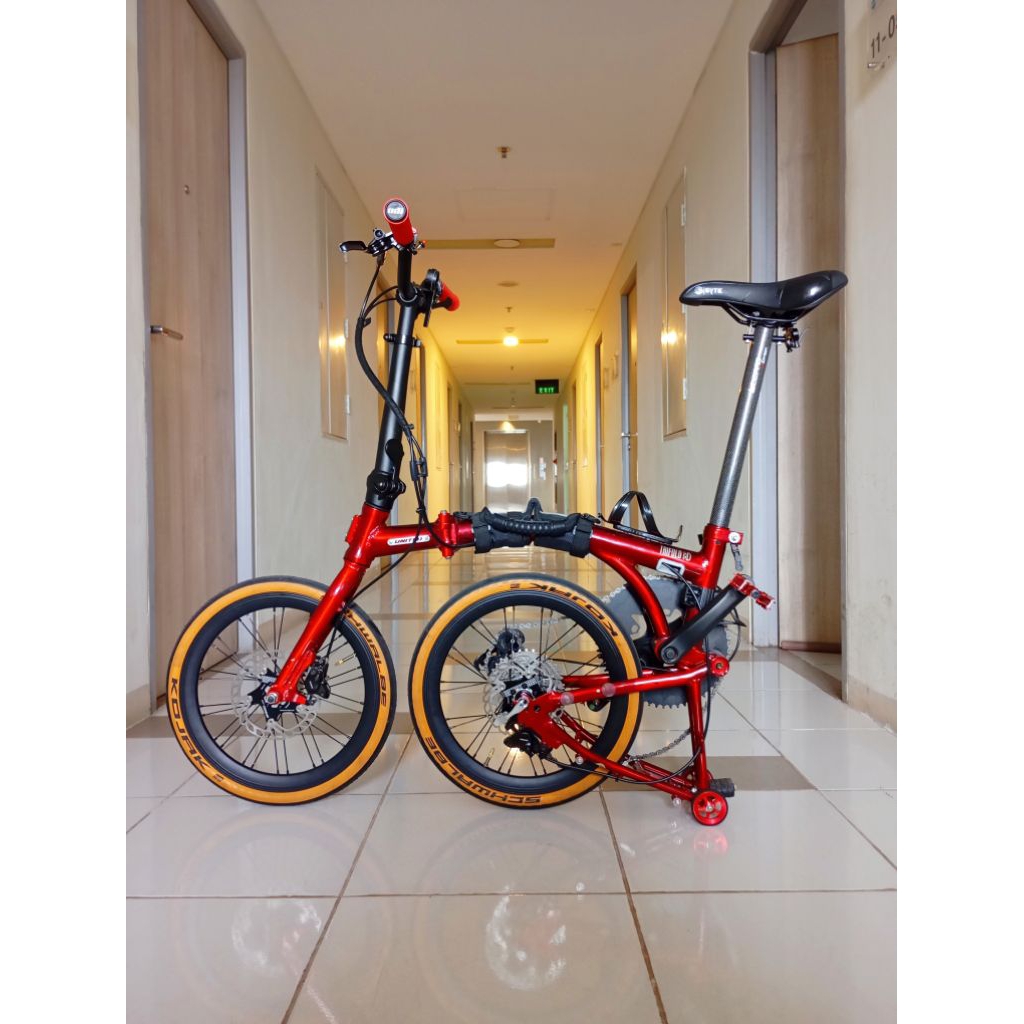 DINEGO AJA DLU BRO FULL UPGRADE UNITED TRIFOLD 8D