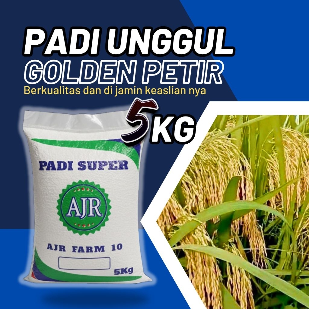 Benih padi unggul GOLDEN PETIR 5kg