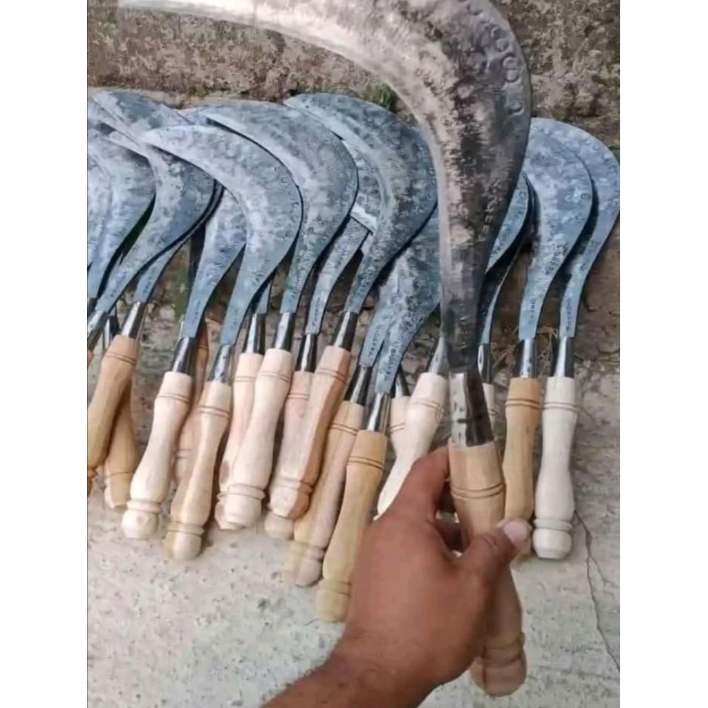 SABIT ISEN WOJO SABIT BUAT CARI RUMPUT DI JAMIN KUALITAS BAGUS