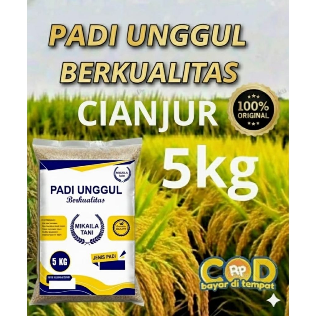 BENIH PADI UNGGUL BERKUALITAS CIANJUR KEMASAN 5KG