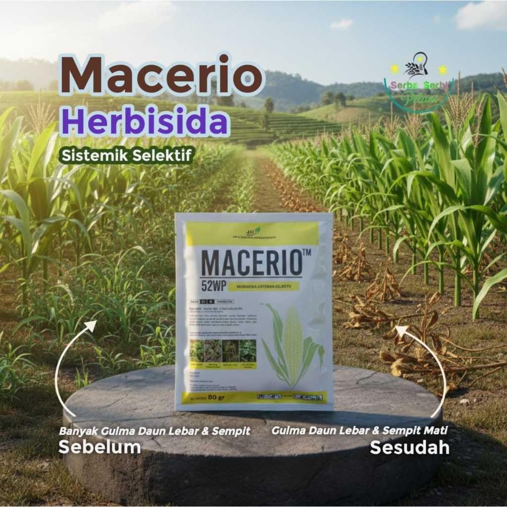 Herbisida Macerio 52WP 80 Gram Racun Rumput Teki dan Gulma Berdaun Lebar Lahan Jagung