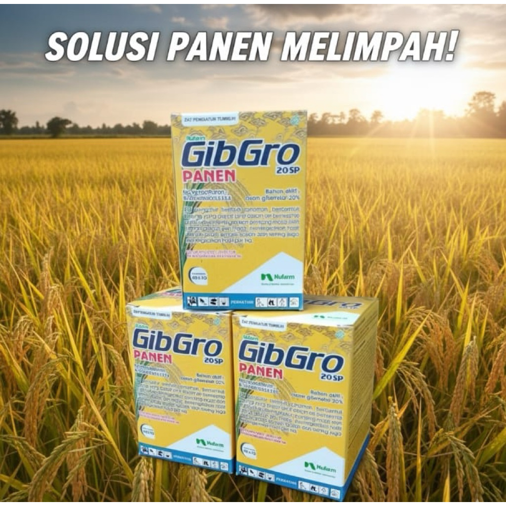 Gibgro Panen 20 SP ZPT Asam Giberelat 20% untuk Padi