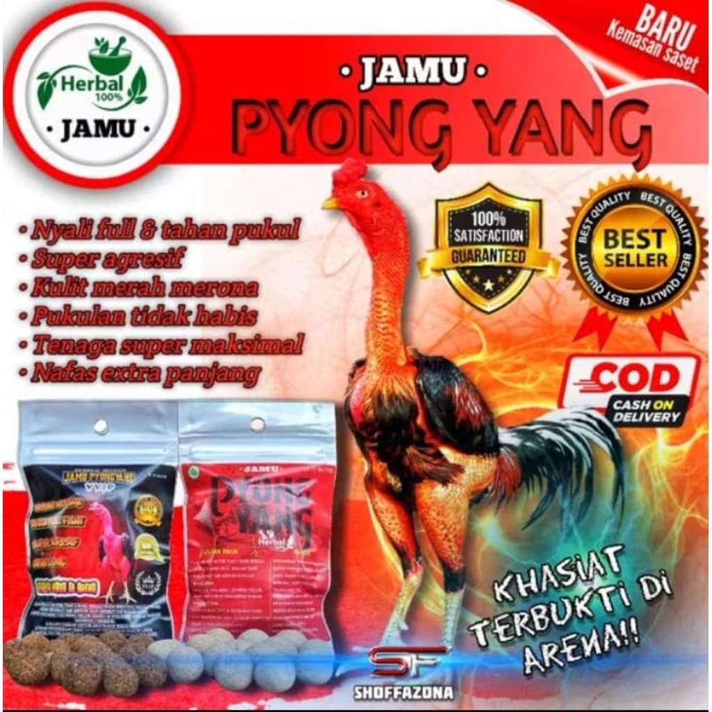 JAMU pyongyang ayam laga doping super kuat agresif nafas panjang