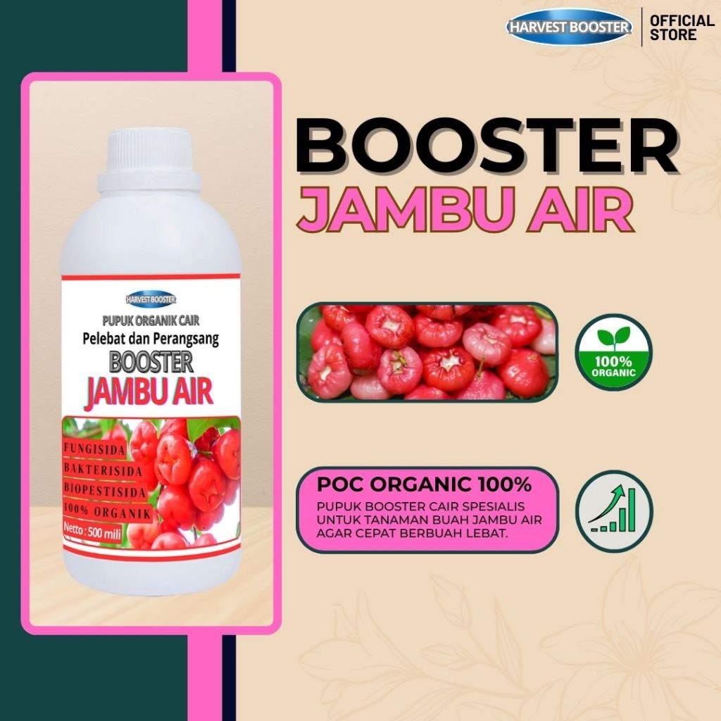 BOOSTER JAMBU AIR | Pupuk buah JAMBU AIR agar berbuah lebat / pupuk pelebat buah JAMBU AIR anti ront